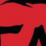 clear push pins bundle