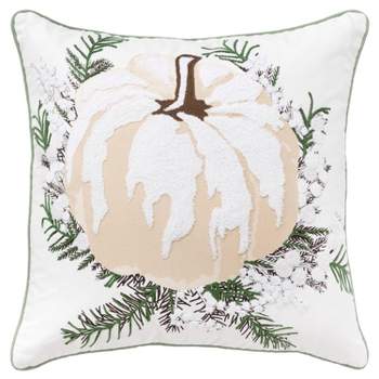 20"x20" Oversize Pumpkin Pattern Square Throw Pillow Cover Beige/Green - Rizzy Home