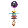 Prevue Pet Products Physical & Mental Bodacious Bites Sassy Bird Toy 60951 - 3 of 3