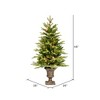 Vickerman Potted Kenly Pine Artificial Christmas Tree - 3 of 4