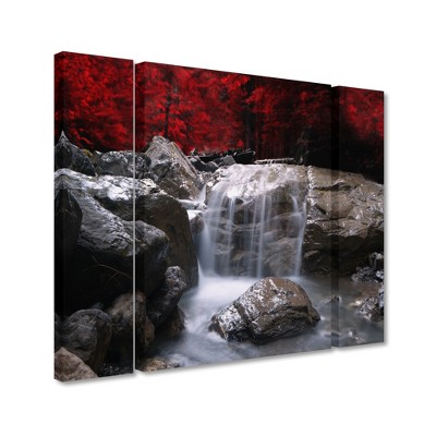 Trademark Fine Art-Philippe Sainte-Laudy 'Red Vison' Multi Panel Art Set Large