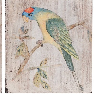 Tropical Multicolor Parrot Wall Art Set on Whitewashed Wood