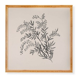 Deny Designs Anis Illustration Minimal Acacia Branch Framed Wall Art Bamboo - 1 of 3