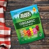 Black Forest Organic Gummy Bears - 8oz : Target