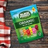 Black Forest Organic Gummy Bears - 8oz - image 2 of 4