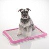 Richell PAW TRAX Mesh Training Tray, Potty Training Tray for Dogs - 3 of 4