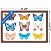 Trends International Watercolor Butterflies Framed Wall Poster Prints - 3 of 4