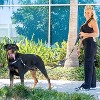 Shed Defender Mag-Snap Dog Leash - Wearable Magnetic Leash - 5 ft. - 4 of 4