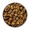 Purina ONE SmartBlend Large Breed Chicken Flavor Natural Dry Dog Food - 2 of 4