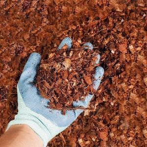 Envelor 10lb Compressed Coco Coir Husk Chips Brick Potting Soil - 1 of 3