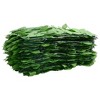 vidaXL Balcony Screen with Green Leaves 236.2"x29.5" - 3 of 4
