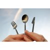 Outlery Stainless Steel & Pocket Sized Travel Cutlery Set & Reusable Chopsticks - image 3 of 4