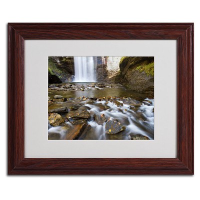 Trademark Fine Art -Pierre Leclerc 'Looking Glass Falls' Matted Framed Art