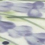 lavender fields