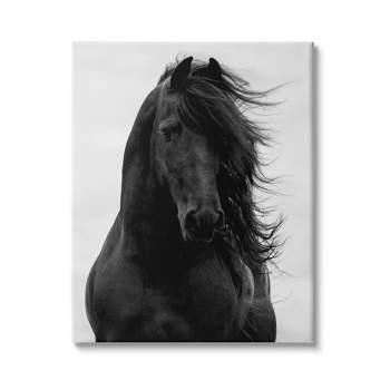 Stupell Industries Black Stallion Horse Portrait Soft Grey Sky Photography