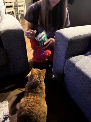 Guest review image 3 of 3, zoom in