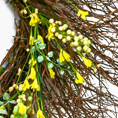 24" Spring Yellow Forsythia Wreath with Bristle Twigs