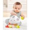 Skip Hop Silver Lining Cloud Shape Sorter Baby Learning Toy - image 3 of 4