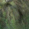 Lord Of The Rings Treebeard Blanket 50"x60" Woven Tapestry - 4 of 4