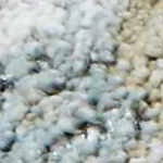 cream, charcoal, mustard, lightgray, lightbrown