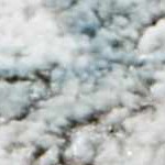 cream, charcoal, mustard, lightgray, lightbrown