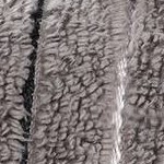 charcoal