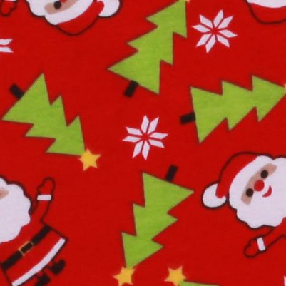 red santa snowflake