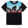 Toddler Boys Set Print Short Sleeve T-Shirt and Shorts Outfit Summer Set Clothing Sets 3-12T - 3 of 4