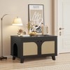 MAYEERTY 31¡Á20 Inch Flip-Top Hidden Cat Box Cabinet - With Rattan Doors & Dual Entrances (Black) - 3 of 4