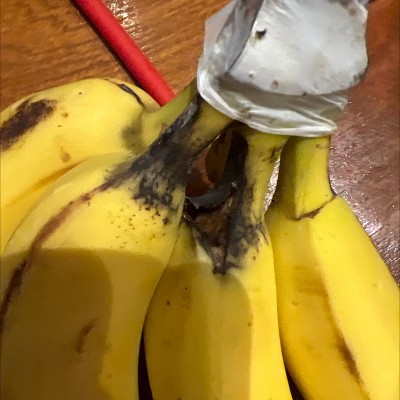 Guest review image 1 of 2, zoom in