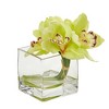Nearly Natural Cymbidium Orchid Artificial Arrangement in Glass Vase (Set of 2), Green - 3 of 4