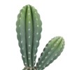 34.6 Inch Artificial Cactus Plant, Faux Desert Cacti Potted Plant, Realistic Fake Cacti Saguaro for Home Office Foyer Porch Decor, Housewarming Gift - 4 of 4