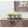 Melrose Potted Fern Plant (Set of 3) - 2 of 4