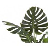 Monarch Specialties Artificial Plant 55 inch Tall Monstera Tree Indoor Faux Fake Floor Greenery Potted Real Touch Decorative Green Leaves Black Pot - 4 of 4