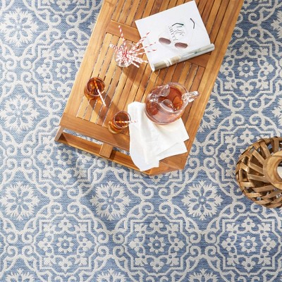 Danica Medallion Blue/Gray Synthetic Indoor/Outdoor Area Rug