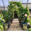 ACEPANO 86.6 in. H Outdoor Climbing Plants Support Metal Garden Rose Arch with Two Plant Stands-Black - 3 of 4