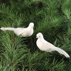 Gallerie II Dove Clip Ornament Set of 2 - 2 of 4