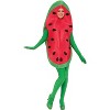 Forum Novelties Watermelon Adult Costume - image 2 of 2