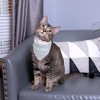 Pavilion Gift Company - I'm So Pawsome - 7" x 5" Canvas Slip on Pet Bandana - Pet Toy - 2 of 4