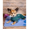 Dog Helios (R) 'Rufflex' Mediumweight 4-Way-Stretch Breathable Full Bodied Performance Dog Warmup Tracksuit - 3 of 4