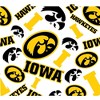 NCAA Iowa Hawkeyes Tervis All Over Venture Water Bottle - 24oz: BPA-Free, Flip-Top Lid - 2 of 4