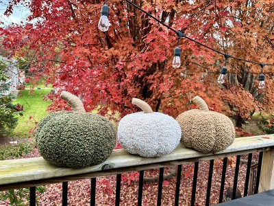 Guest review image 1 of 2, zoom in