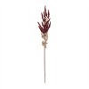 Fall Clusttered Berry Stem (Set of 6) - 2 of 2