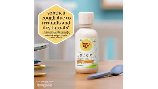 Burt&#39;s Bees Kids&#39; Daytime Cough Syrup - Grape - 4 fl oz, 2 of 6, play video