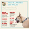 Country Brook Petz Premium Dog Collar - Country and Western Collection - 2 of 4