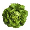 Butter Lettuce Head - each - image 2 of 3