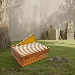 10-Frame Medium Super Bee Box, Wax Coated Bee Hives with Beehives Frames and Wax Foundations, Langstroth Honey Super for Beekeeping Supplement - 1 of 4