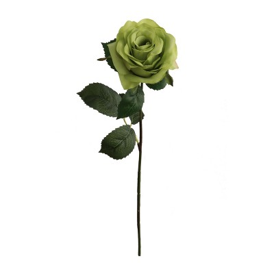 Floral Home 20" Green Open Rose - 48-Piece