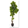 Nearly Natural 78-in Fiddle Leaf Artificial Tree (Real Touch) - 2 of 2