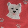 E & S Pet 14.0 Inch Westie Dog Socks Premium Quality Crew Socks - 3 of 3